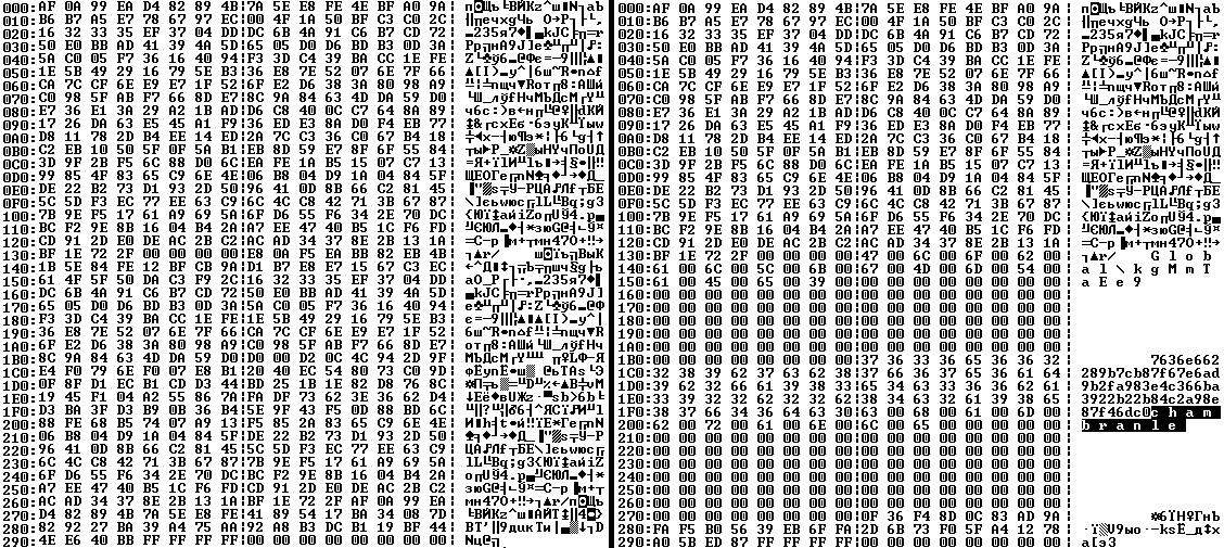 Encrypted and decrypted loader configuration